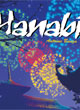 Hanabi - ref.4537