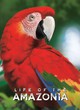 Life Of Amazonia - ref.12646