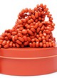 Speks : Pâte Anti-stress Crags Orange Corail - ref.12692
